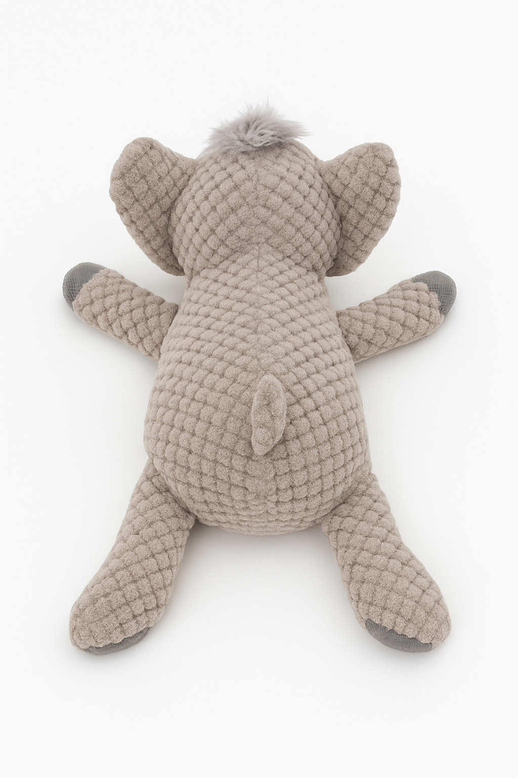 Trunky the Elephant