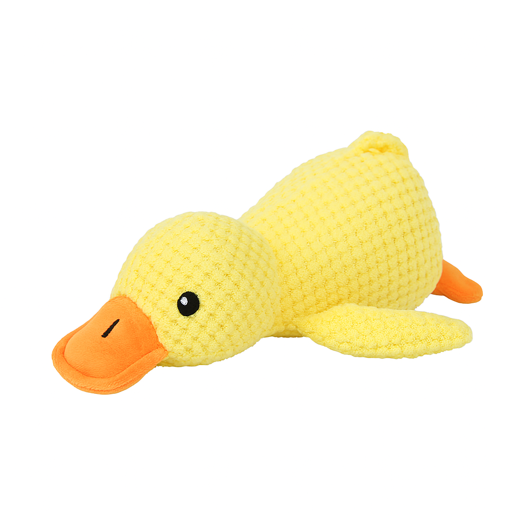 Quackers the Duck