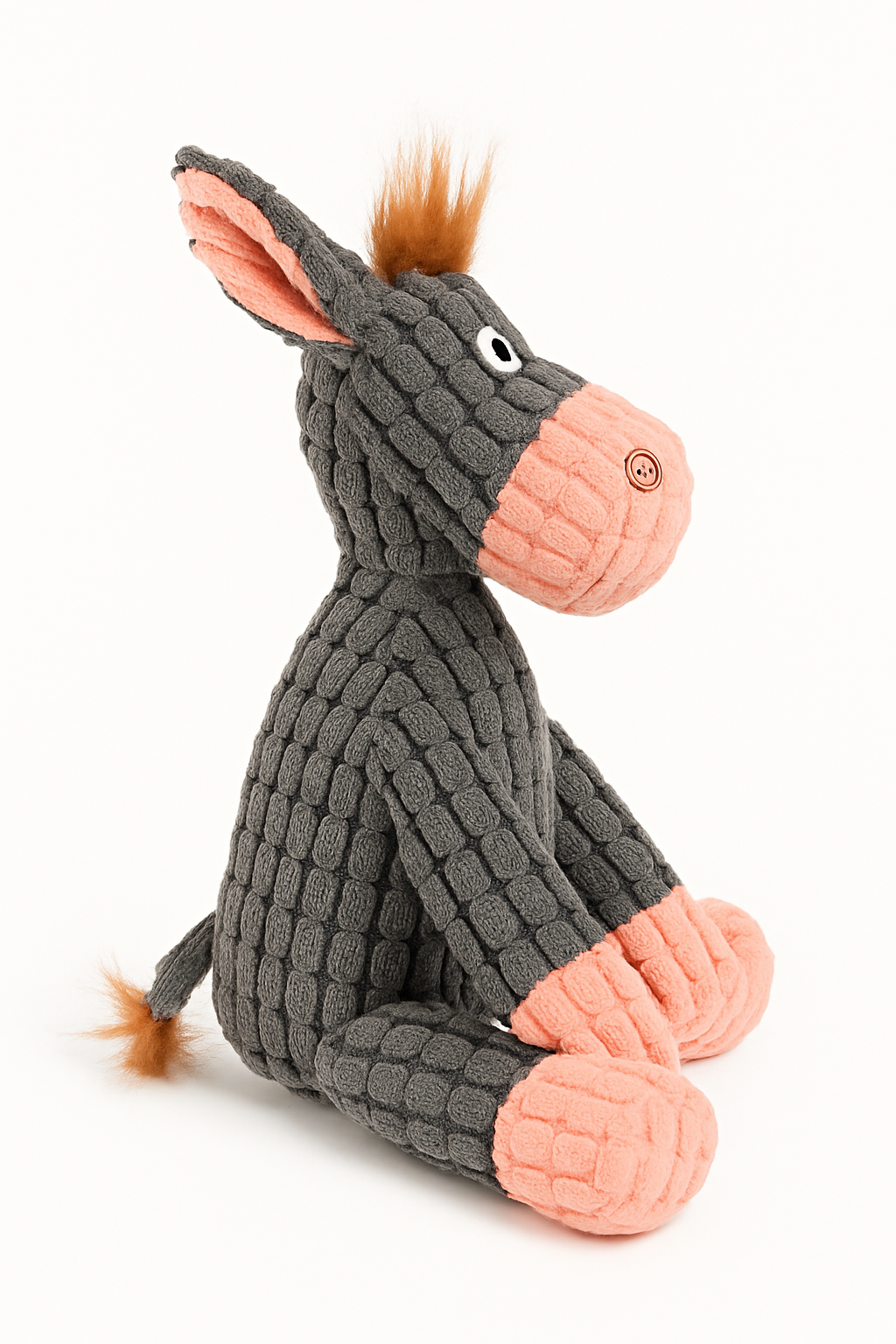 Ash the Donkey